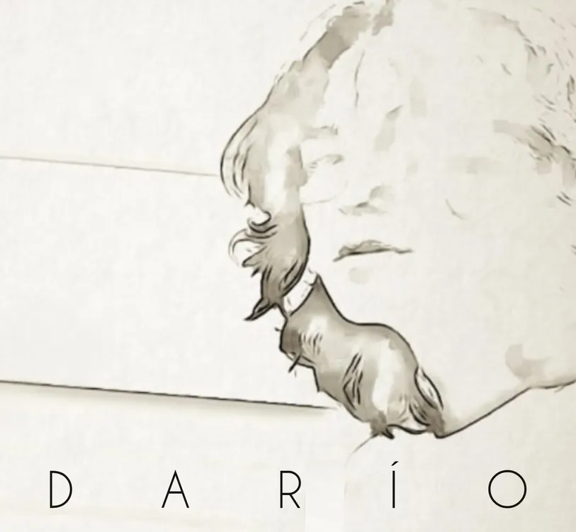 Silueta Dario06-04 at 18.55.56